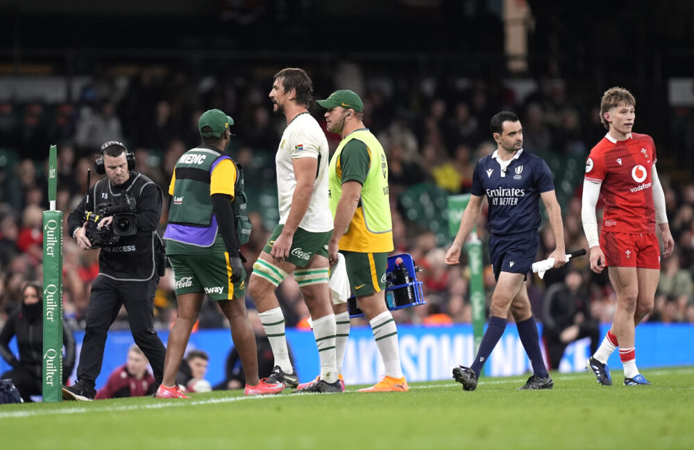 Tandy admits Wales humiliating loss to South Africa was ‘hard to watch’