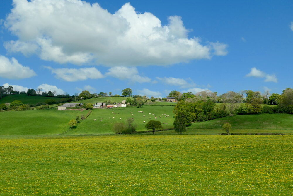 Cross-border initiative plans to boost visitor economy in the Marches