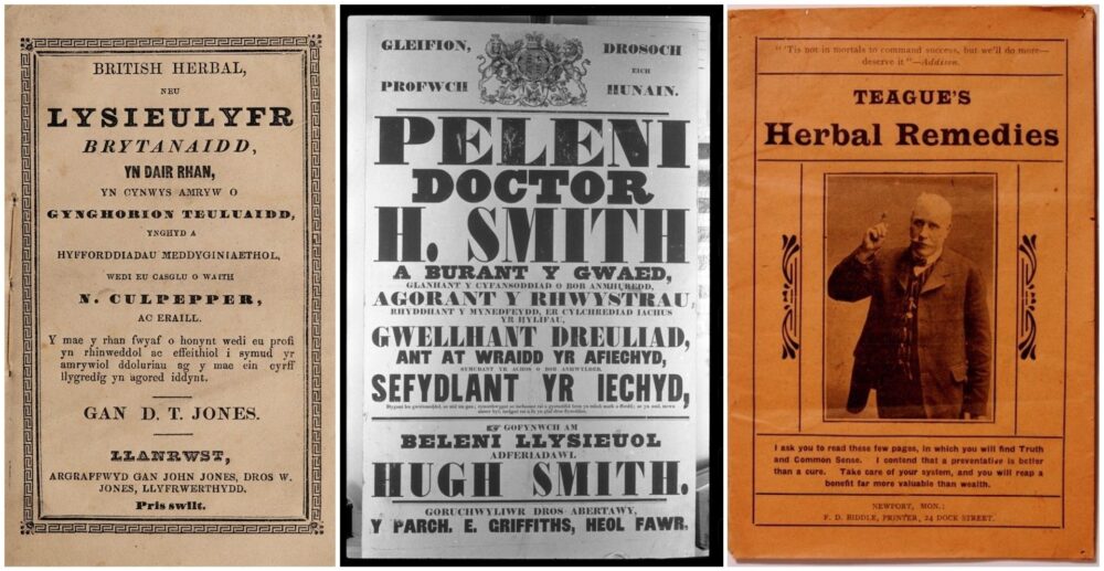 New project launched to uncover Wales’s forgotten herbal medicine traditions