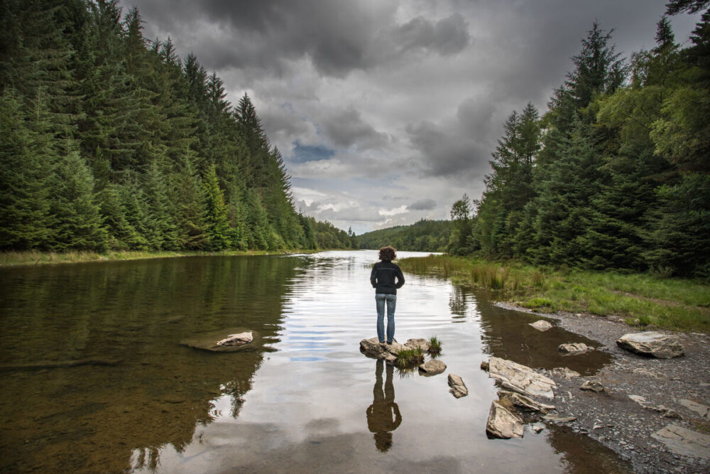 Wales’ natural resources at critical tipping point, NRW report finds