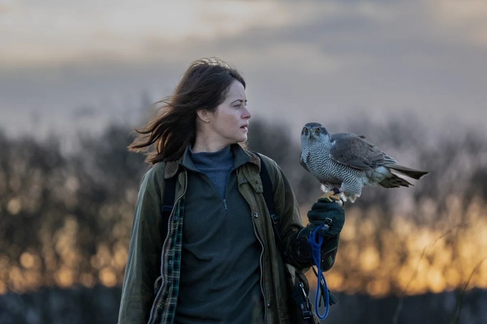 H is for Hawk: Upcoming blockbuster soars thanks to Welsh connections
