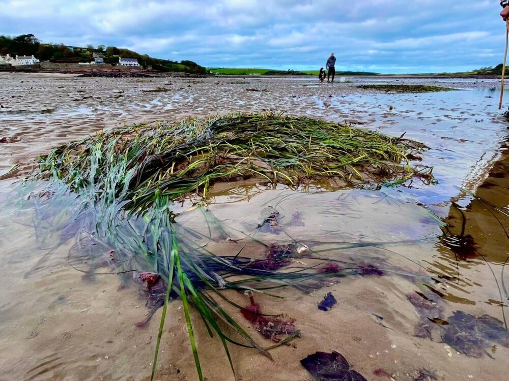 Welsh fisherman designs innovative new shellfish pot