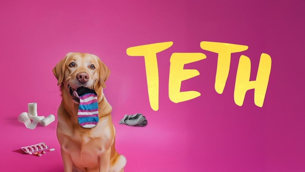 LGBTQ+ film takes Welsh language to the world stage