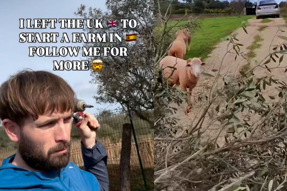 ‘Anyone can do it’: Welshman heads to Spain to start new life on farm