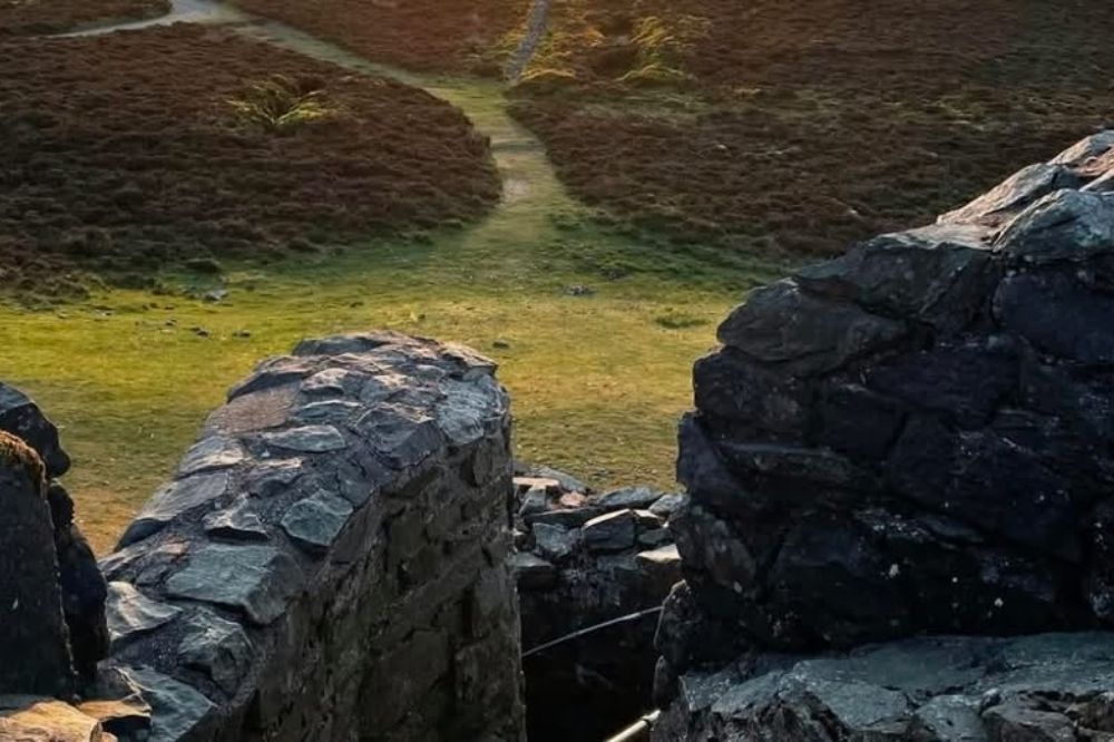 Welsh charity speaks out in support of Glyndŵr National Park proposal