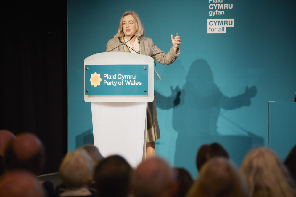 Plaid now a ‘threat’ to Westminster, says Liz Saville Roberts