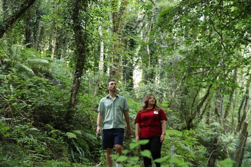 Welsh university recognised for significant sustainability practice