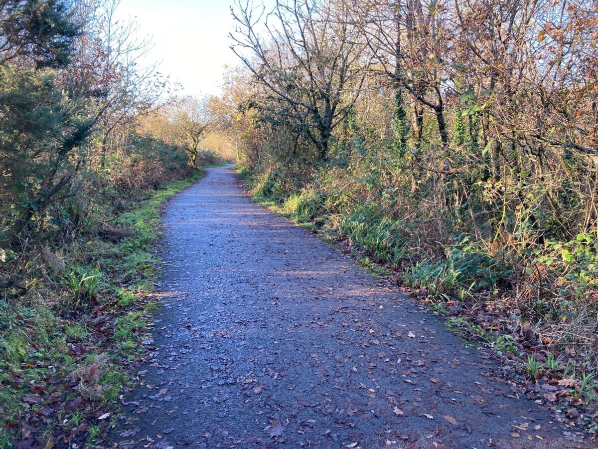 Public will get a say about draft active travel map