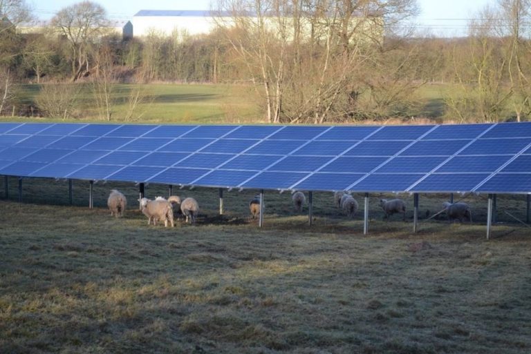 It's always this sunny, right? Huge 10,000 panel solar farm could be ...