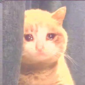 e2.jpeg