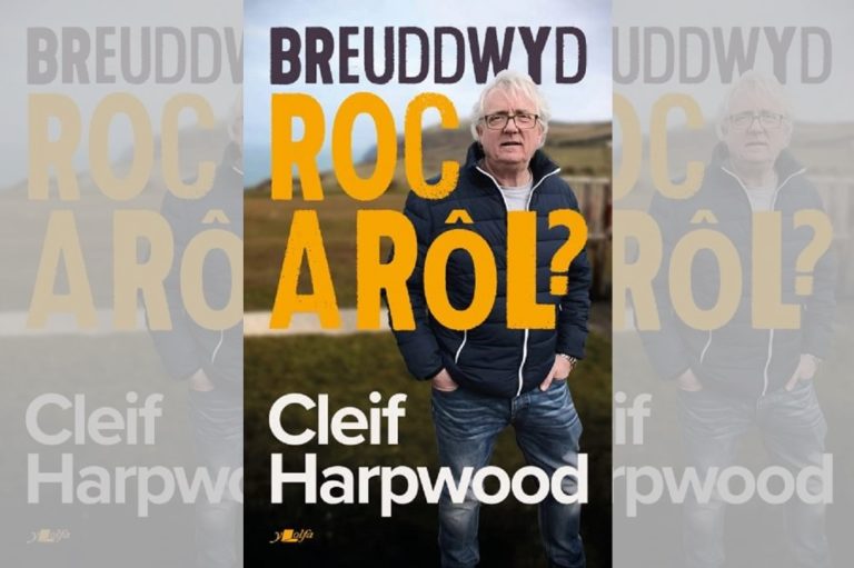 review-breuddwyd-roc-a-r-l-by-cleif-harpwood