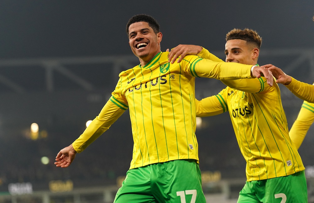 Norwich City 2-0 Cardiff City: Gabriel Sara and Marquinhos score in  Canaries win, Football News