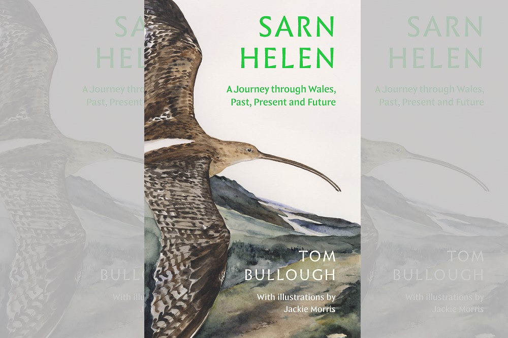 Review Sarn Helen By Tom Bullough