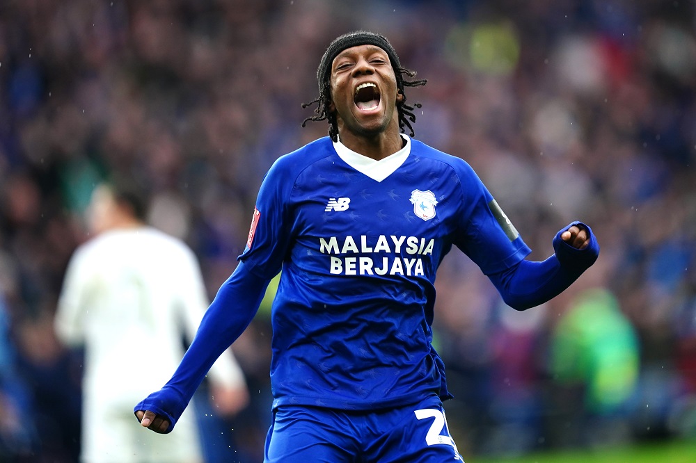 Cardiff City 2-0 Bristol City: Bluebirds ease relegation fears