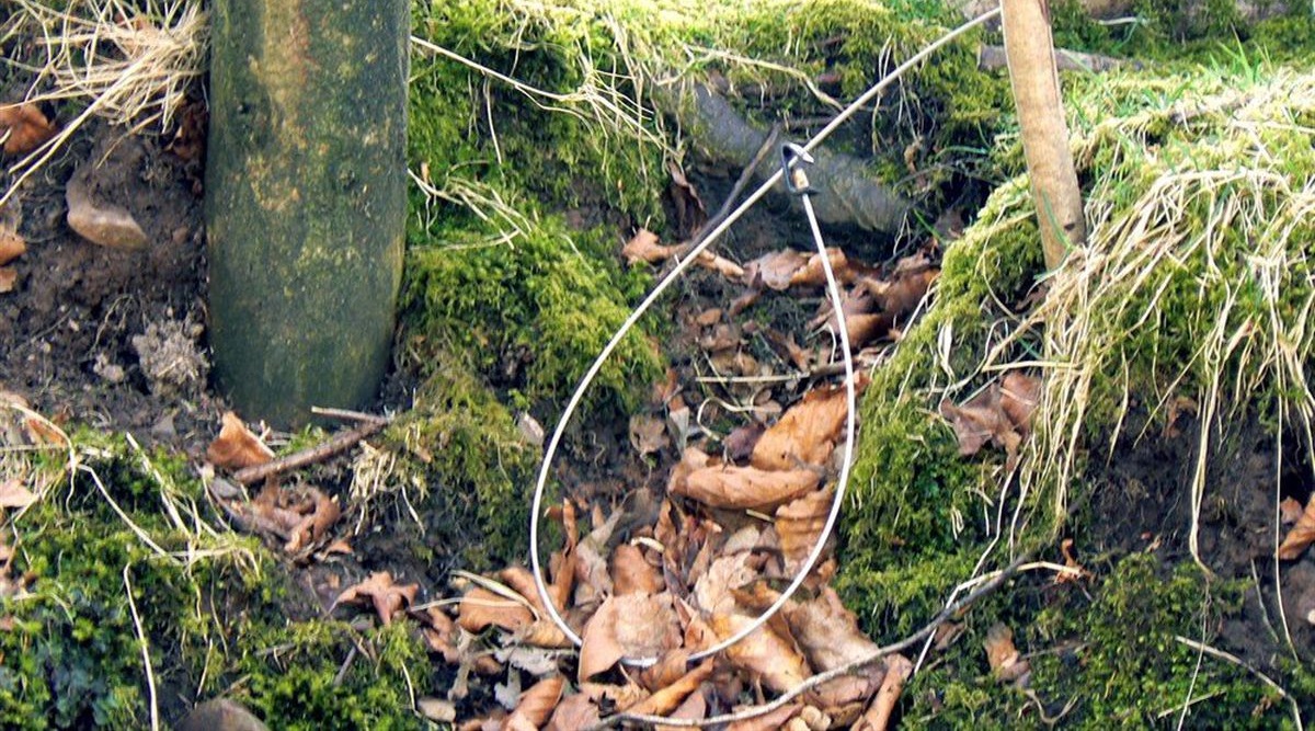 Parts of the snare - Game and Wildlife Conservation Trust