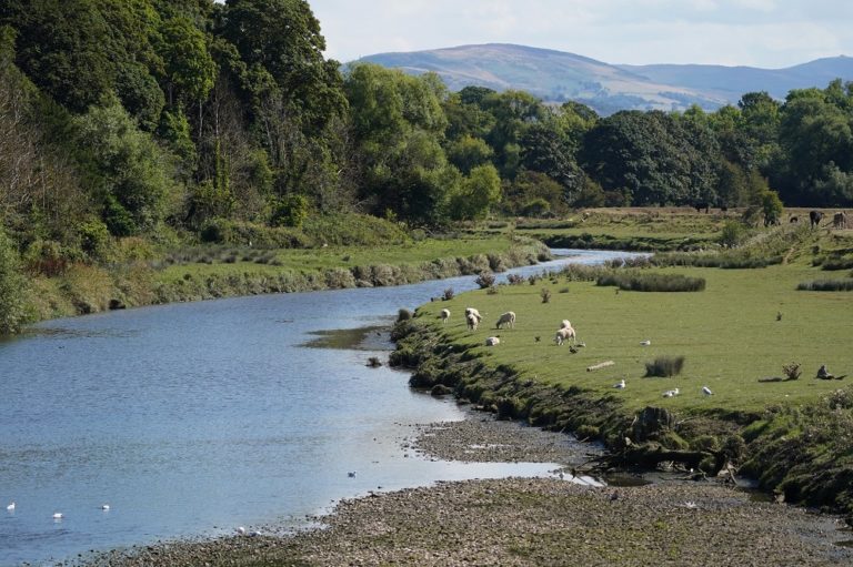 Of Rudall Rivers From Rhuddlan to Rhyl: Why independence is 740 years overdue