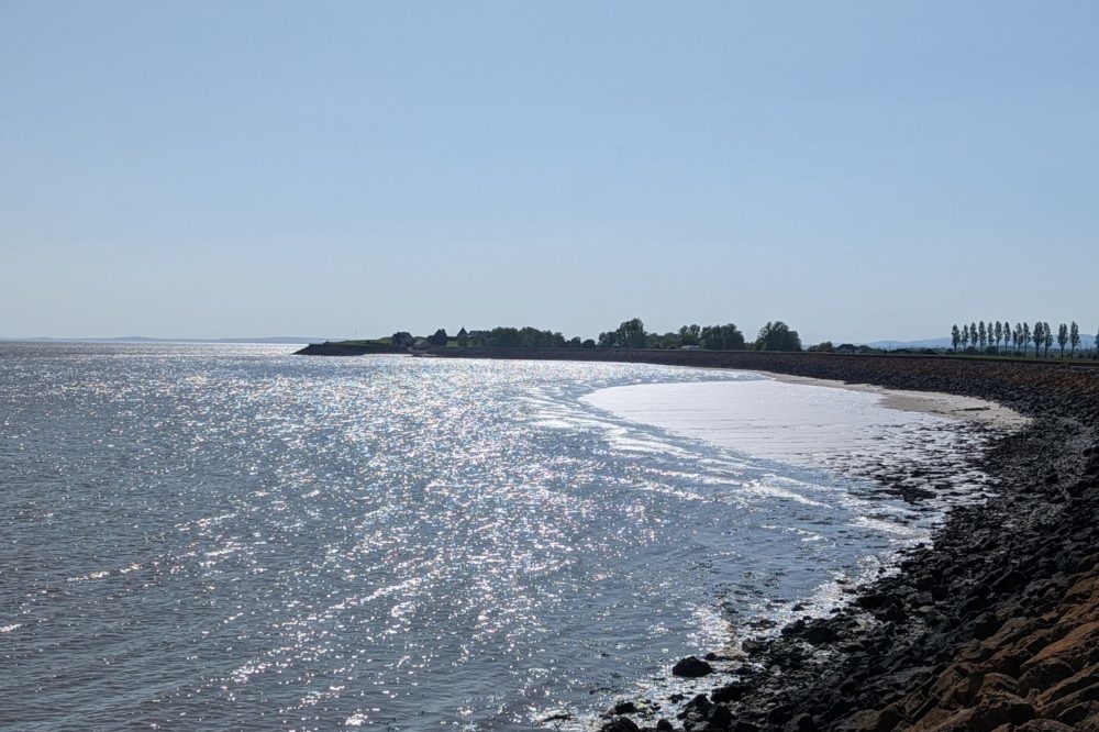 Letter from Goldcliff Seawall 