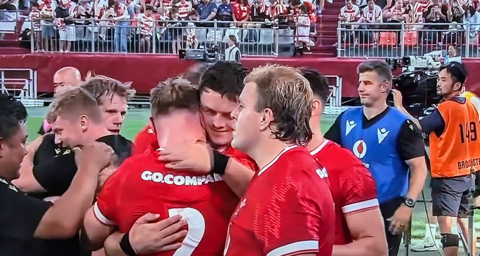 Wales fend off Japan fightback to end painful losing run