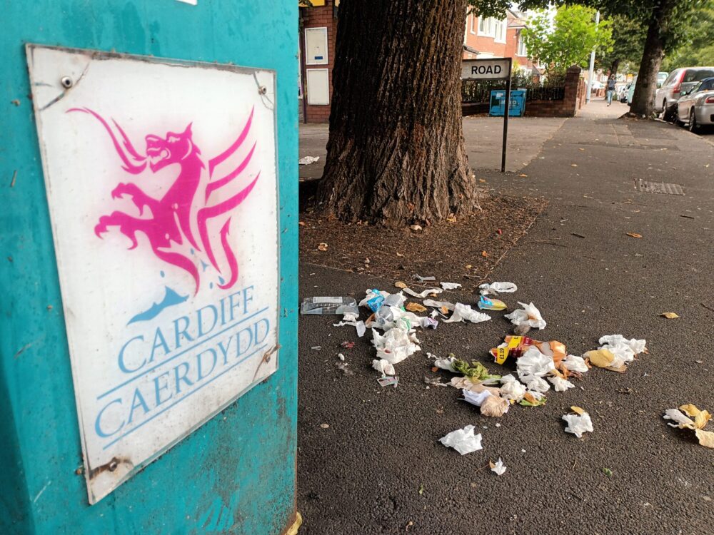 Litter Problem In Rgv Love where you live: City residents tackle ongoing litter problem