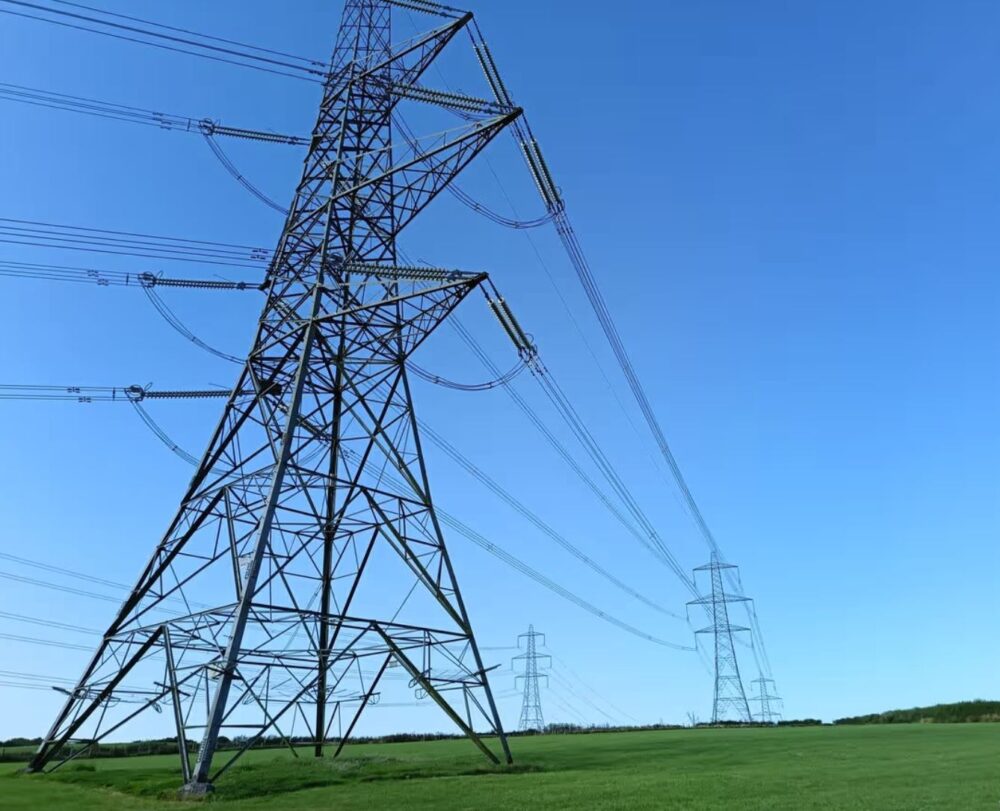 Pylon surveyors access land without consent